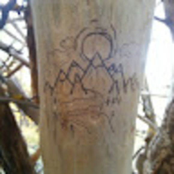 Meet your Posher, Niki - Picture 1 of 1